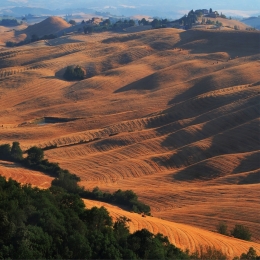 The colors of a Tuscan afternoon .. 