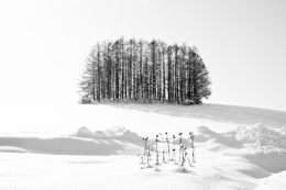 The white world_ 