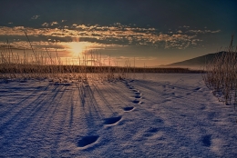 frozen morning on the lake 