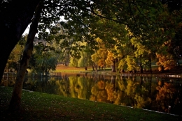 TOAMNA - PARCUL ROMANESCU - CRAIOVA 