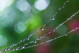 Droplets necklace 