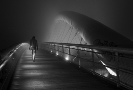 Into the fog 