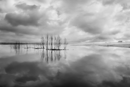 Amanece tras la tormenta 