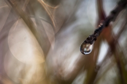  "Tears of autumn" 