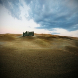 Sinuosity 'of the Tuscan hills .. 