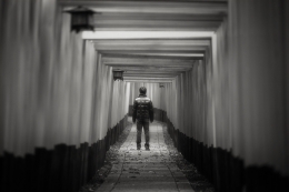 Thousand Torii Gates Corridor 