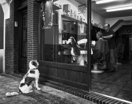 Old style barber and man's best friend 