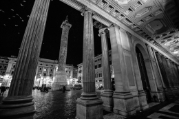 Birds at piazza Colonna 