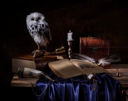 Owl in a still life 