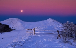 When the wolves howl in Bieszczady Mountains 