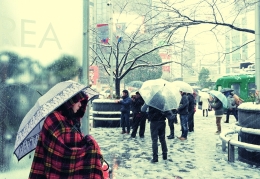 Shibuya japan 