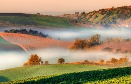 foggy fields 