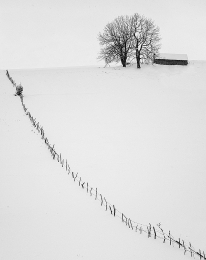 diagonal winter 