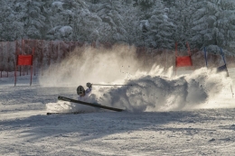 EYOWF 2013 Brasov  