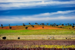 Alentejo 