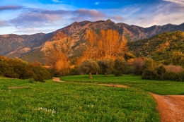 Walking in the countryside 