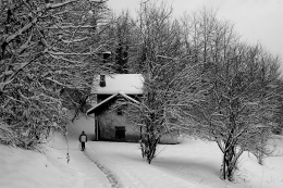 Return to an empty home 