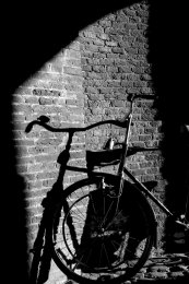 Bicycle BW 