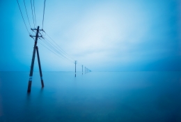 Standing Utility Poles in the Sea 