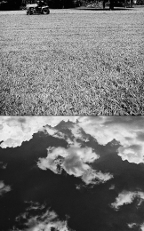 Cutting Blue Grass Under Green Sky 