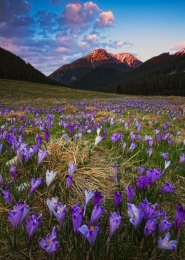 Spring in Tatra Mountains 