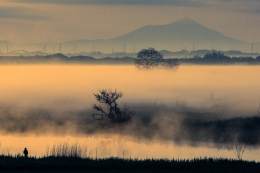 WATARASE's morning 