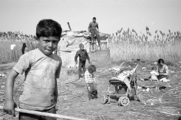 Bucharest Delta inhabitants 