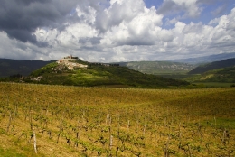 Motovun 