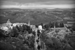 Motovun 