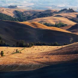 Tuscan earth.. 