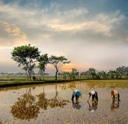 Morning Activities in the Village 