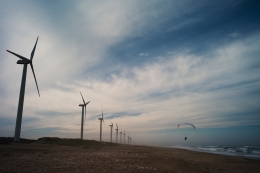 Windfarm 