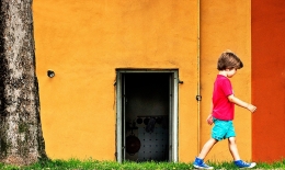 walking on the urban walls of Lucca 