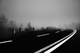 curve into the fog 