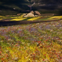 Castelluccio 2013 -2 