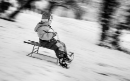 Sledging 