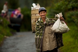 potatoes farmer in Bromo 