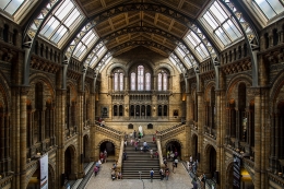 The Natural History Museum 