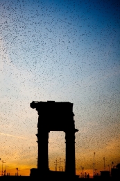 Teatro Marcello 