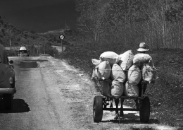 On the way to the market 