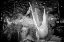 Tofu Processing 