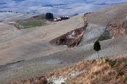 Volterra 