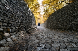 Autumn road 