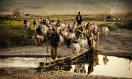 Crossing the River 