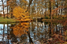 Autumn in the park 