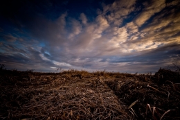 a field during the winter 