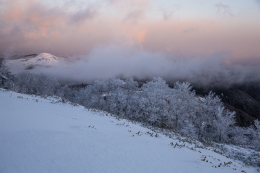 Moments of winter afternoon 