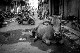 Old town, Chennai 