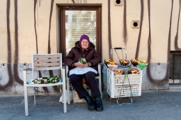 Flower Seller 