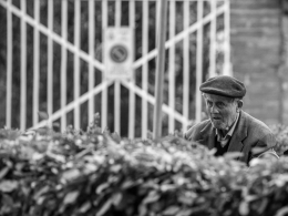 Old man in  the park 